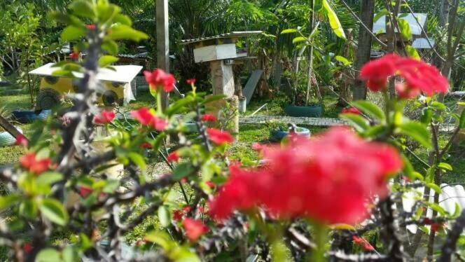 Trigona Chalet Hotel Marang Bagian luar foto